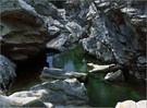 Maggia