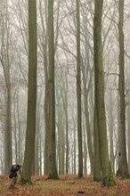 Kleiner Mann im großen Wald!