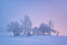 Sonnenaufgang und Frühnebel