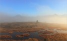 Nebel im Hochmoor