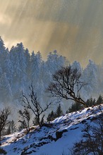 Abendstimmung am Belchen