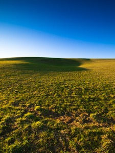 Wiese im Odenwald