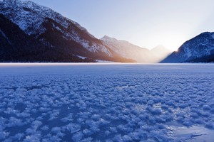 Plansee