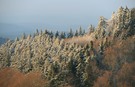 Der letzte Schnee