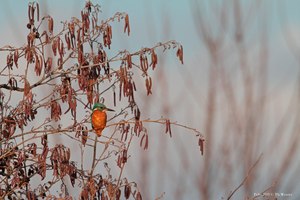 Nach frühem Feierabend....