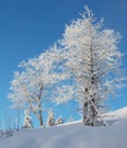 Wintermorgen …