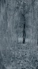 zweisam...einsam - einsam...zweisam
