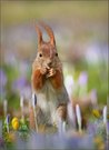 Jetzt kommt der Frühling...