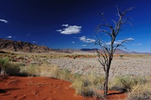 Namib Rand Nature Reserve (Namibia)